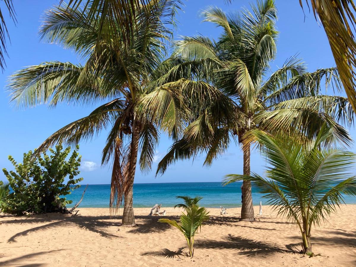 Coco-Mango Apt C Deshaies Ngoại thất bức ảnh